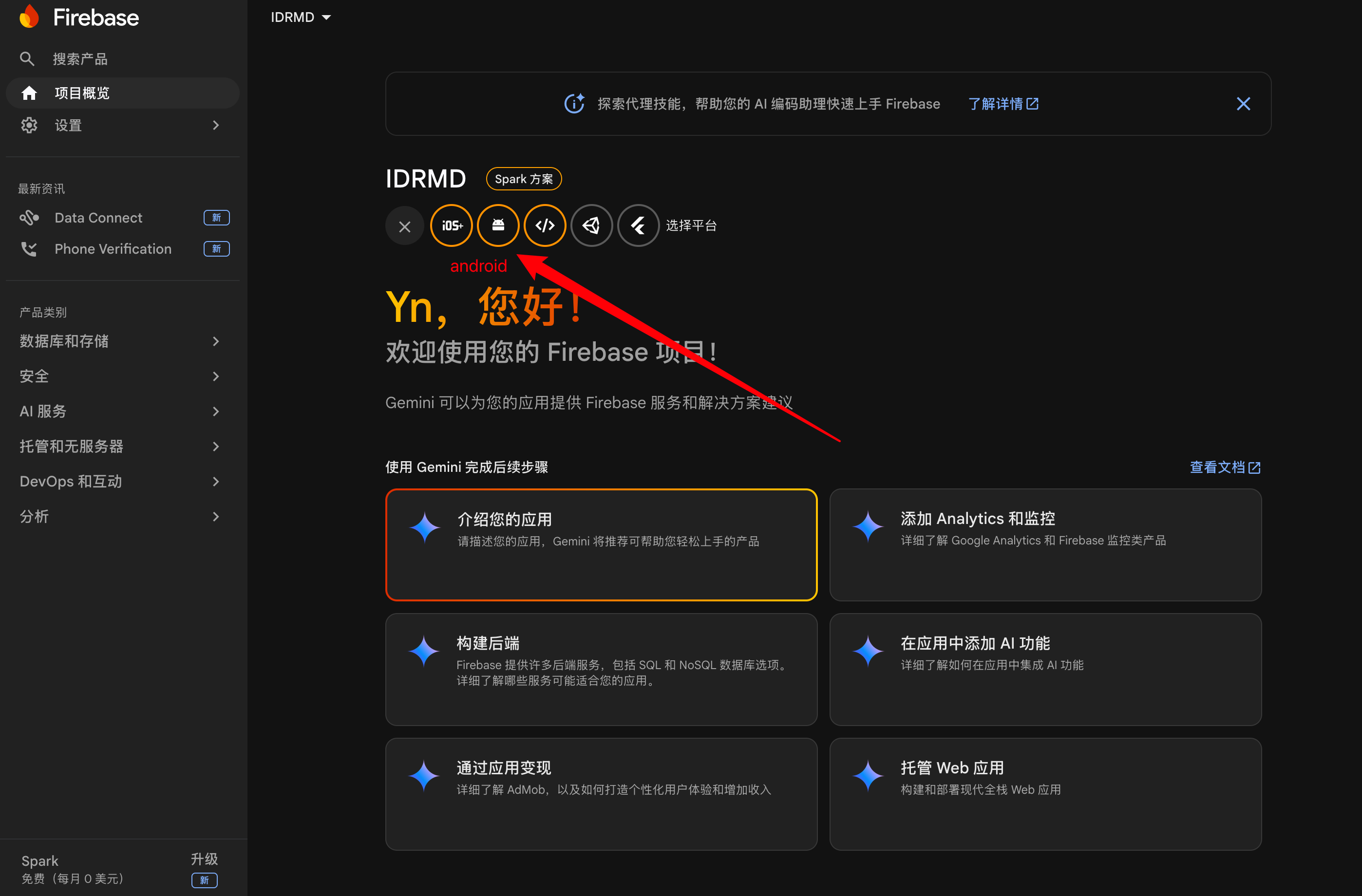 注册应用 - 进入入口