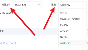 支付方式 + 推广通道筛选