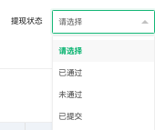 渠道域名 + 提现金额区间筛选