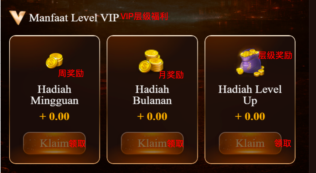 限时优惠 / VIP 1