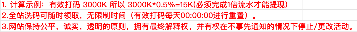 全站洗码 1