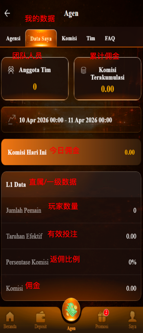 我的数据 5
