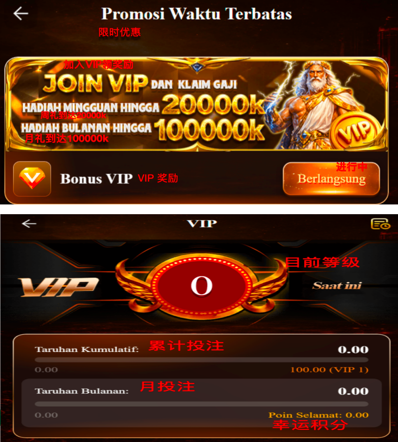 限时优惠与VIP页面